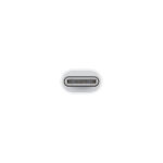 Apple USB-C to Lightning Adapter being used to connect an iPhone to a MacBook for data transfer.